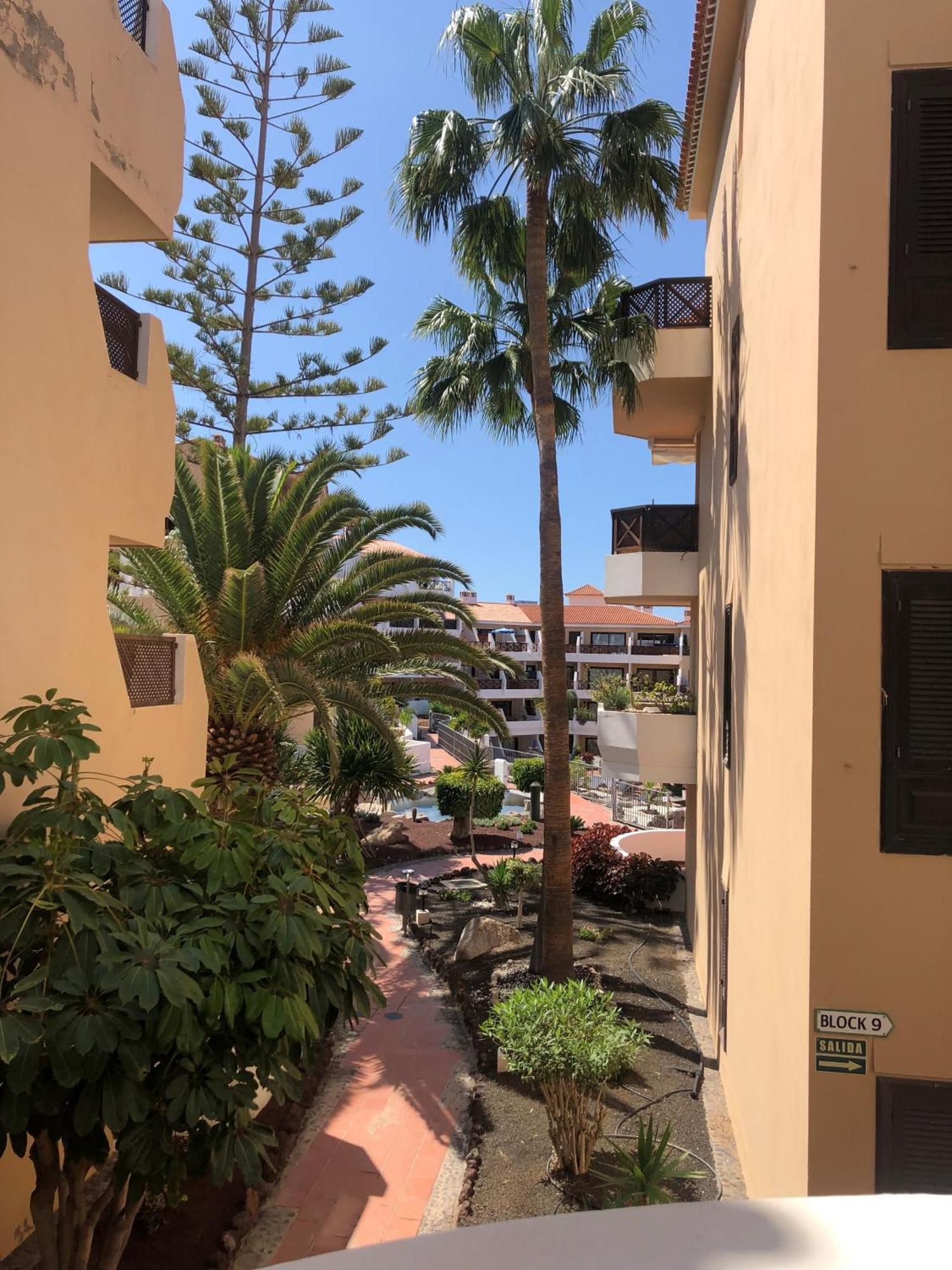 Apartamento Albatros Golf Del Sur Apt 257 San Miguel de Abona Ngoại thất bức ảnh